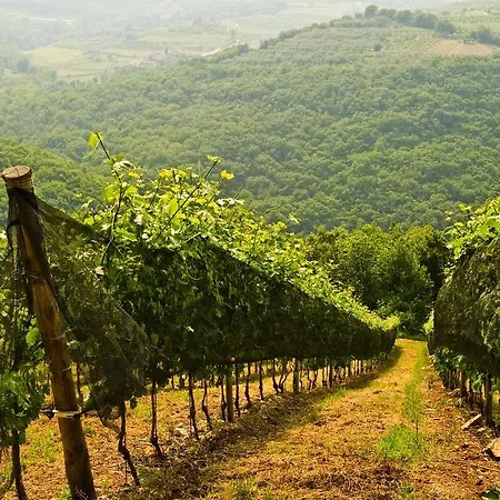 Agriturismo Casa Maffei Kır Evi