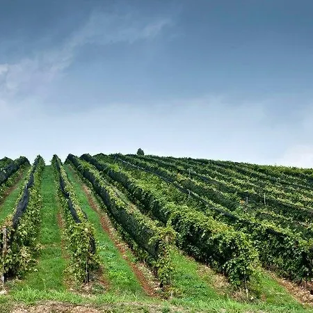Agriturismo Casa Maffei *